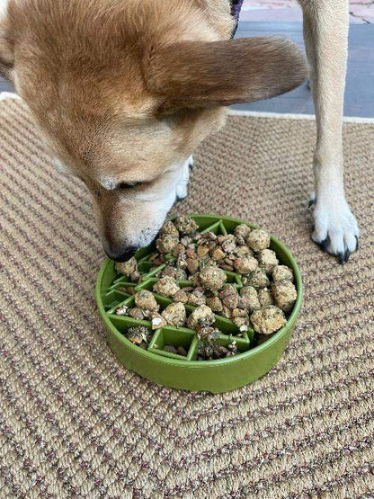 Dog eating from green Pine Tree Christmas eBowl slow feeder dog bowl with segmented chambers
