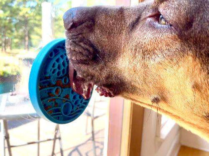 Small dog using blue Turtle eMat-Mini lick mat with suction cups on glass window for enrichment and slow feeding