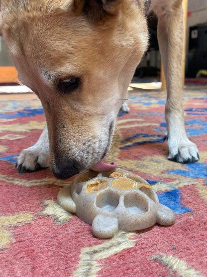 Dog licking treat-filled Turtle Nylon Chew Toy on colorful carpet for enrichment and chewing