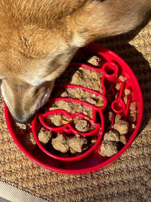 Santa Christmas eBowl red slow feeder dog bowl with festive Santa design and dog eating kibble