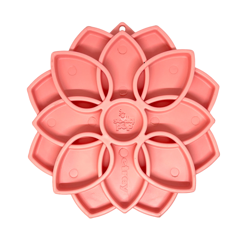 Mandala Softie eTray shallow slow feeder dog bowl with suction cups pink USA made