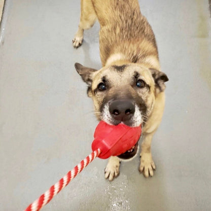 USA-K9 Grenade Durable Rubber Chew Toy, Treat Dispenser & Tug Function