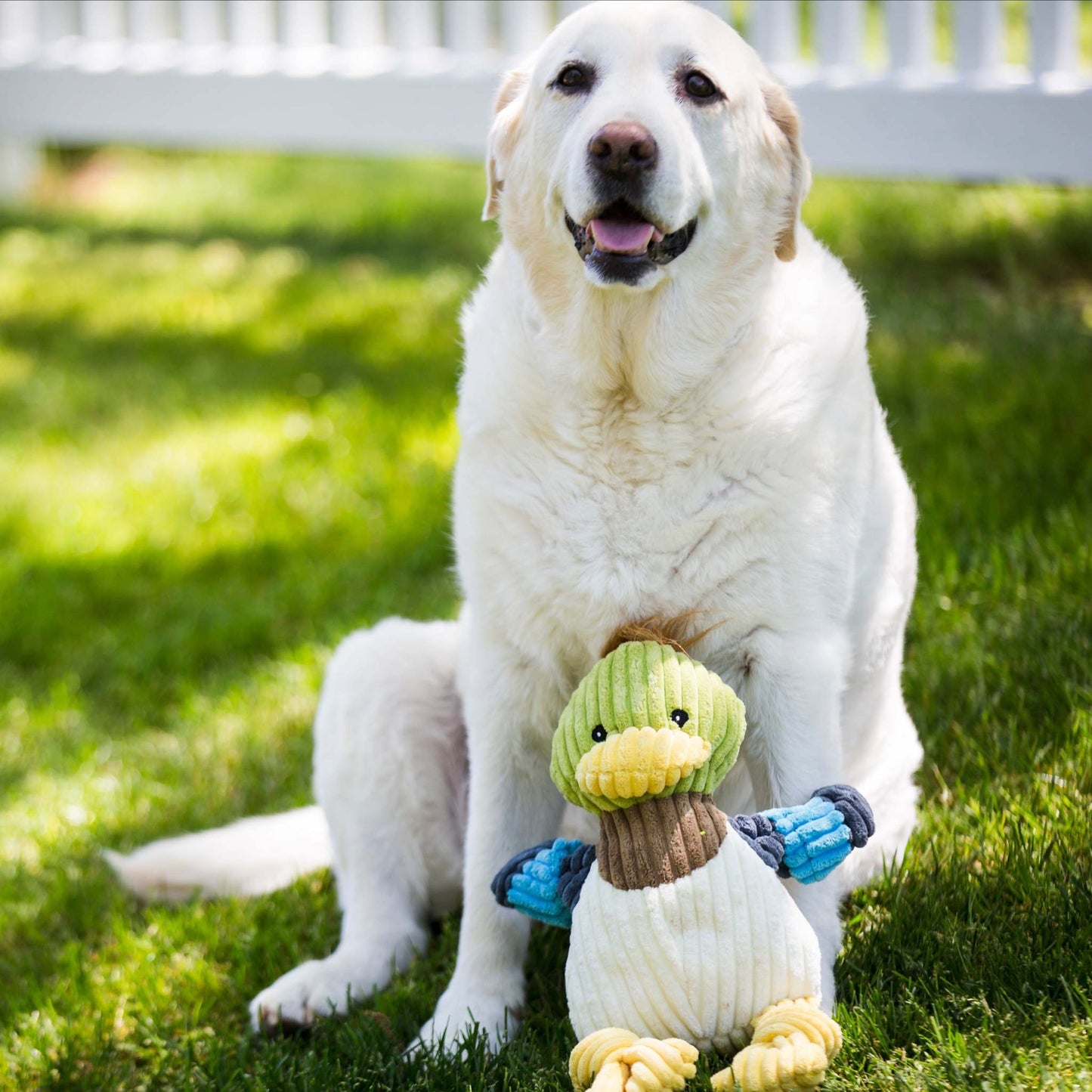 Dilly Duck Knottie® plush dog toy with knotted design and squeakers