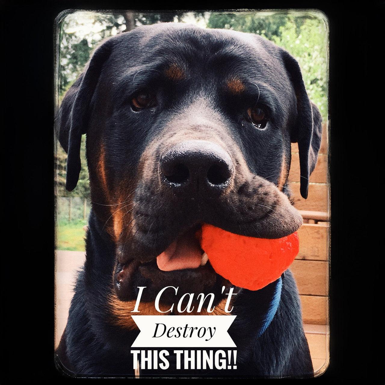 WUNDERball Best Fetch Toy - Durable, Safe & Unpredictable Dog Ball