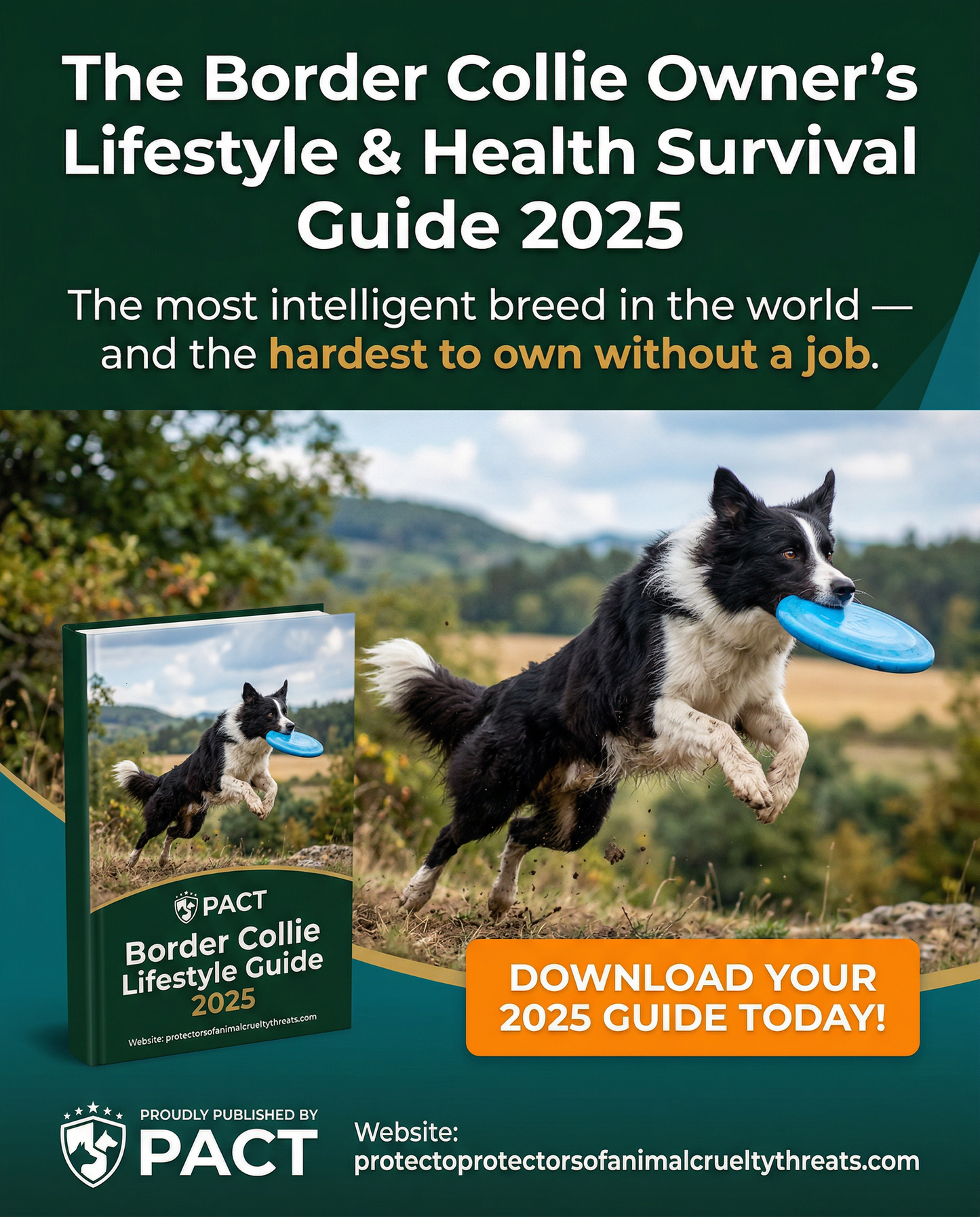 2025 Border Collie Owner's Lifestyle and Health Survivor Guide digital book