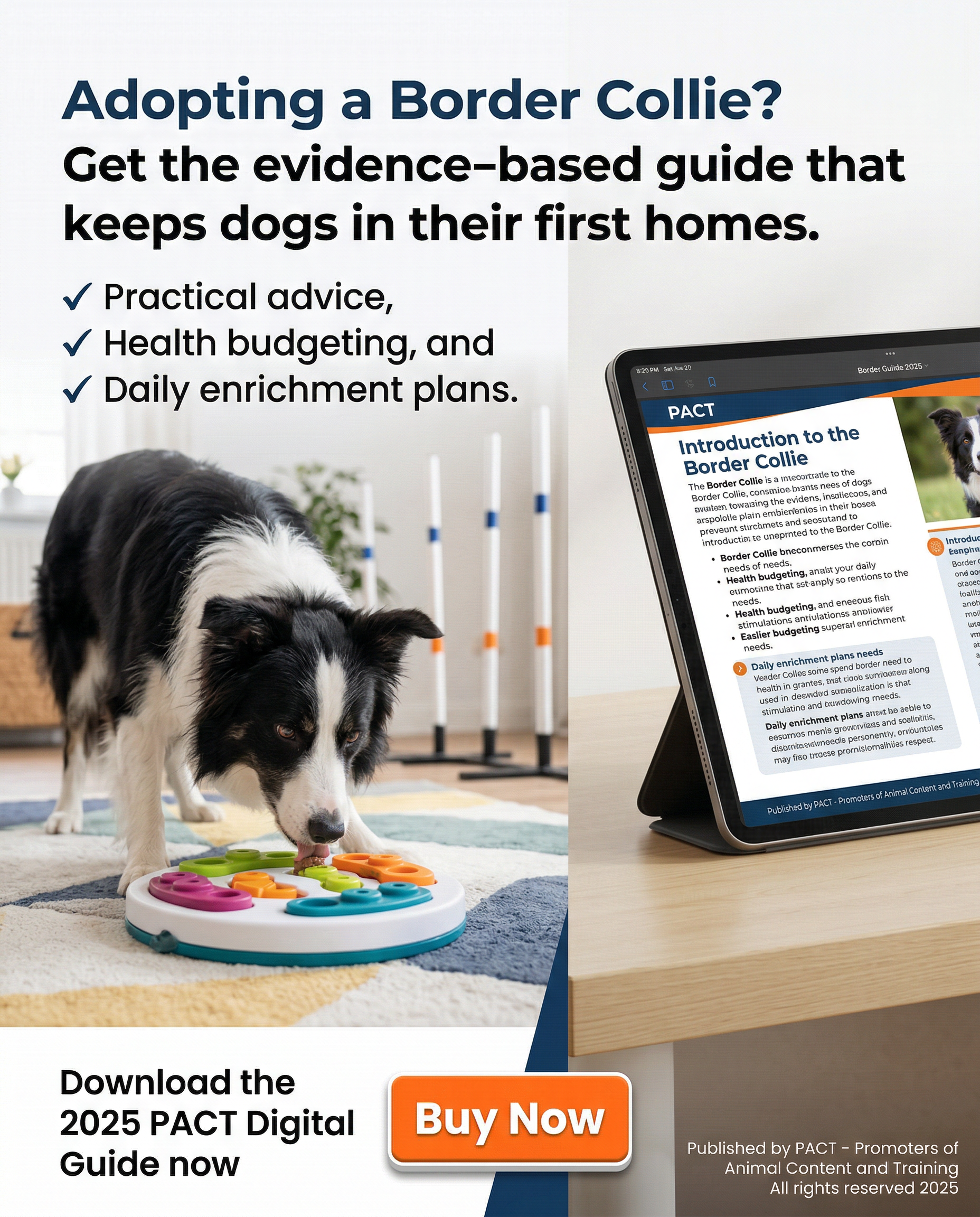 2025 Border Collie Owner's Lifestyle and Health Survivor Guide digital book