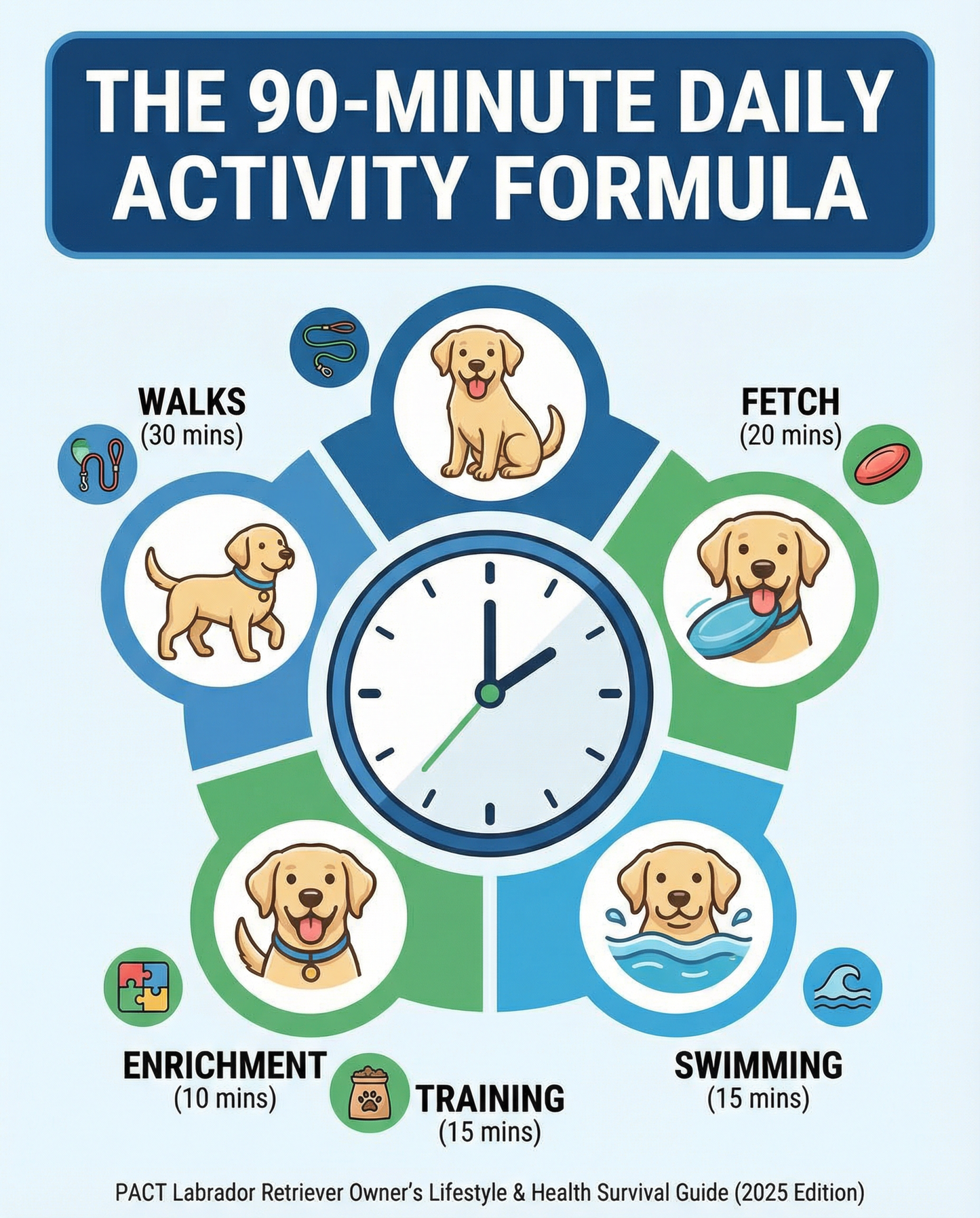 2025 edition of the PACT Labrador Retriever Owner’s Lifestyle & Health Survival Guide digital book cover