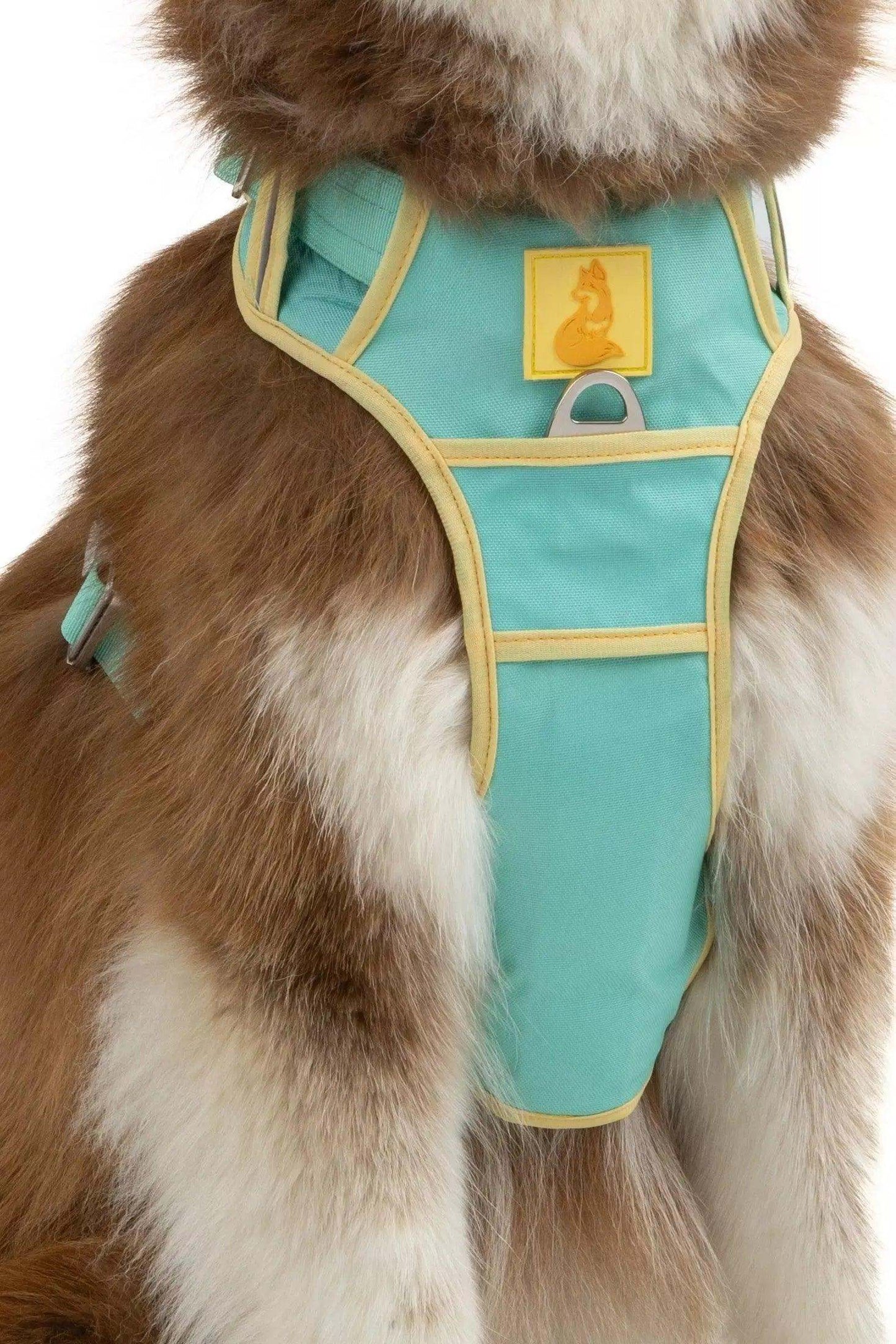 Island Vibes Ultimate Dog Harness aqua with beige trim on brown and white dog, padded and durable design with top handle and reflective stitching