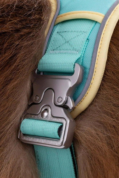 Close-up of turquoise and beige Island Vibes Ultimate Dog Harness metal buckle on dog fur
