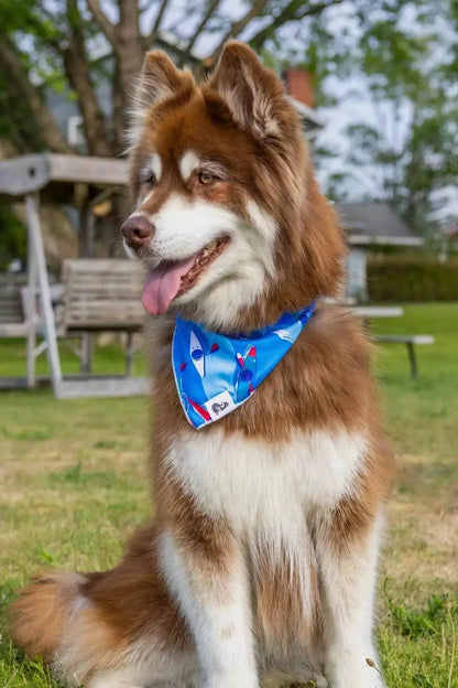 Dog wearing a blue K9 Kayak Dog Bandana with kayak pattern sitting outdoors on grass
