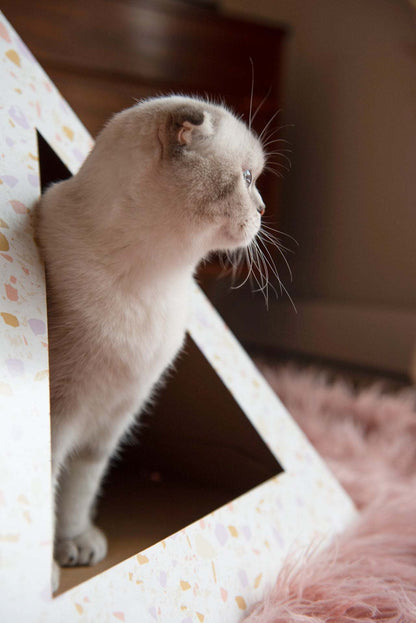Cat inside a Terrazzo cardboard cat pyramid with artistic surface design and cozy hideaway features