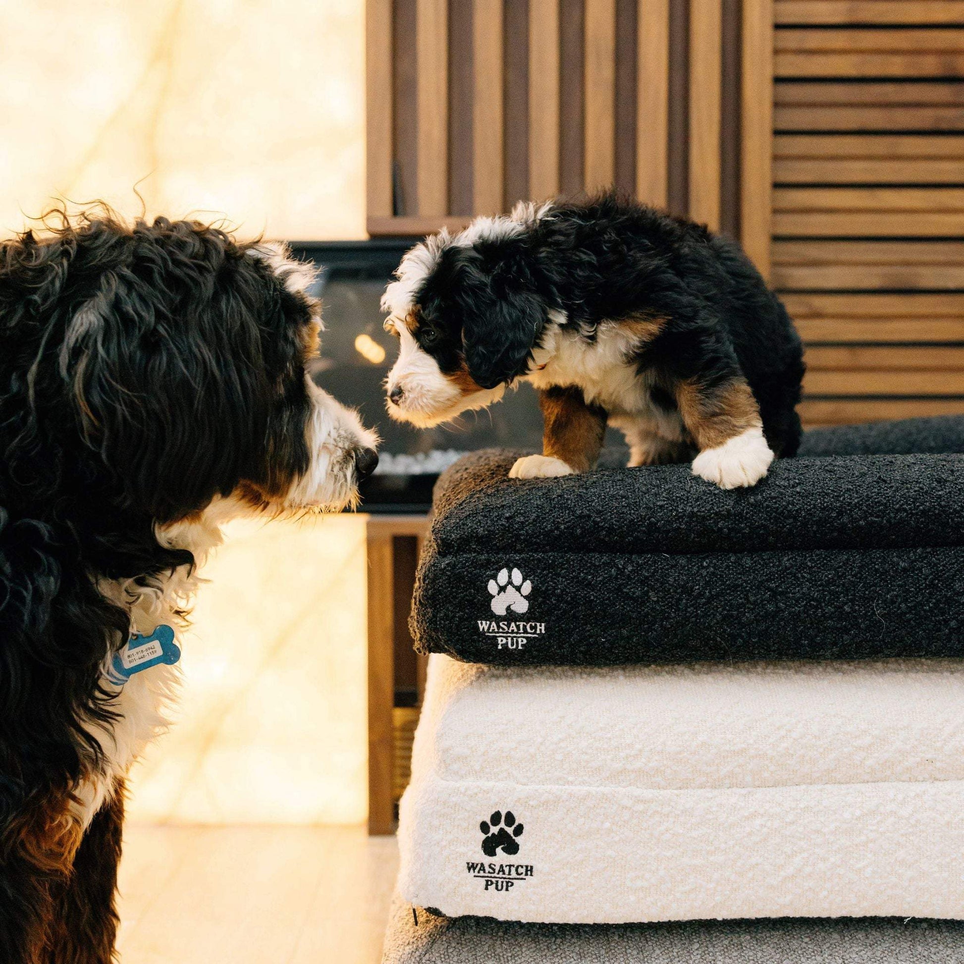 Luxury orthopedic dog bed with memory foam and plush boucle cover featuring raised bolsters and removable washable cover.