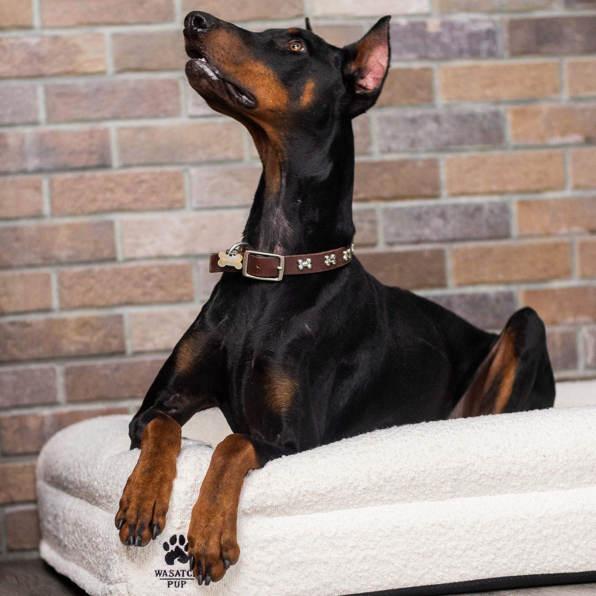 Luxury orthopedic dog bed with memory foam, plush boucle cover, raised bolsters, and removable washable cover