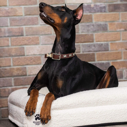 Luxury orthopedic dog bed with memory foam, plush boucle cover, raised bolsters, and removable washable cover