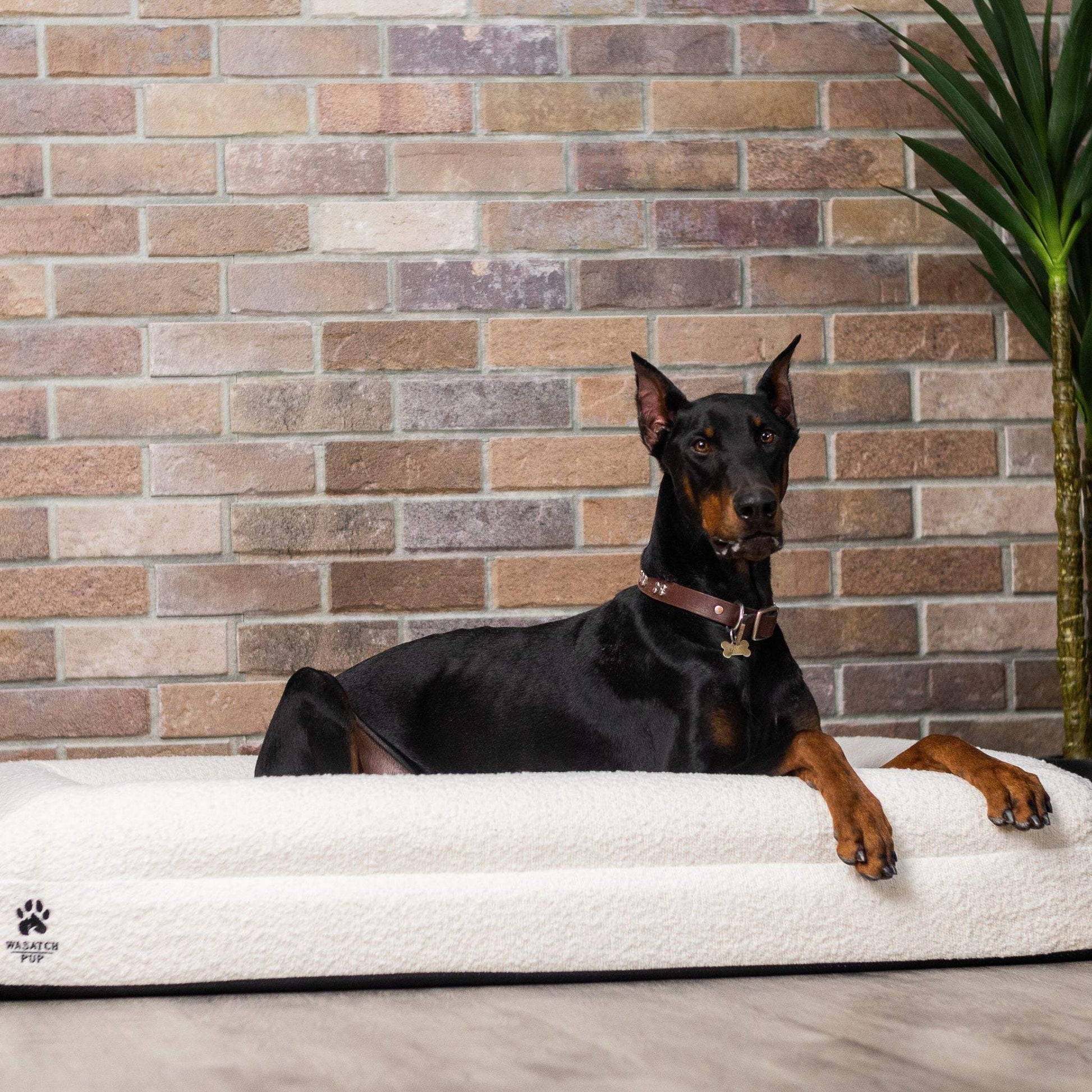 Luxury orthopedic dog bed with memory foam and plush boucle cover featuring raised bolsters and removable washable cover.