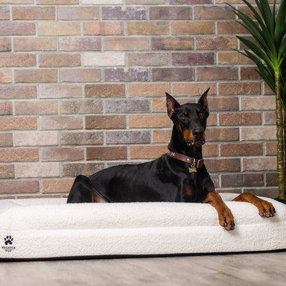 Luxury orthopedic dog bed with memory foam and plush boucle cover featuring raised bolsters and removable washable cover.