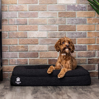 Luxury orthopedic dog bed with memory foam and raised bolsters in plush boucle cover, available in small, medium, and large sizes for joint support and comfort.