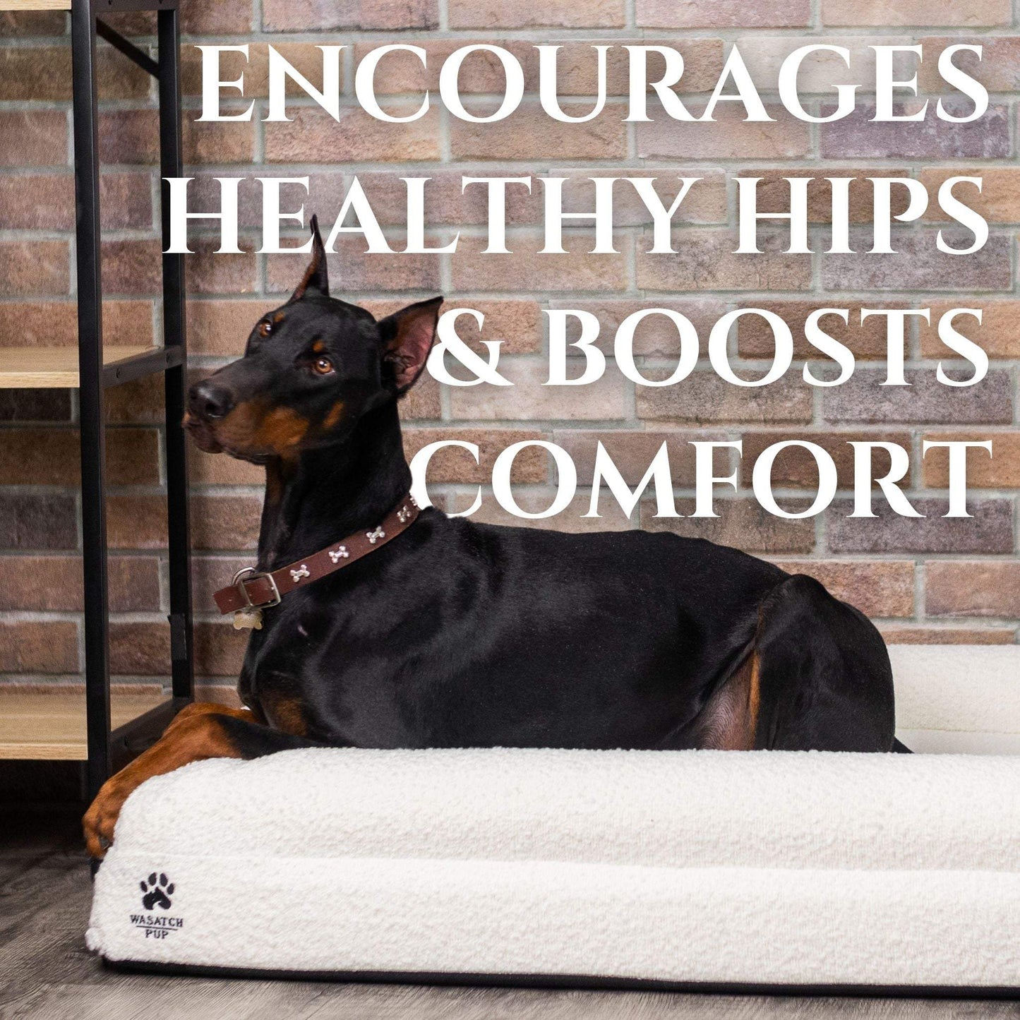 Luxury orthopedic dog bed with memory foam, plush boucle cover, and raised bolsters for comfort and support