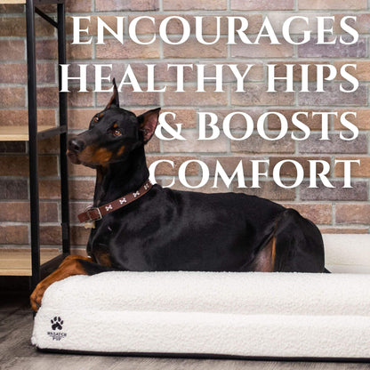 Luxury orthopedic dog bed with memory foam, plush boucle cover, and raised bolsters for comfort and support