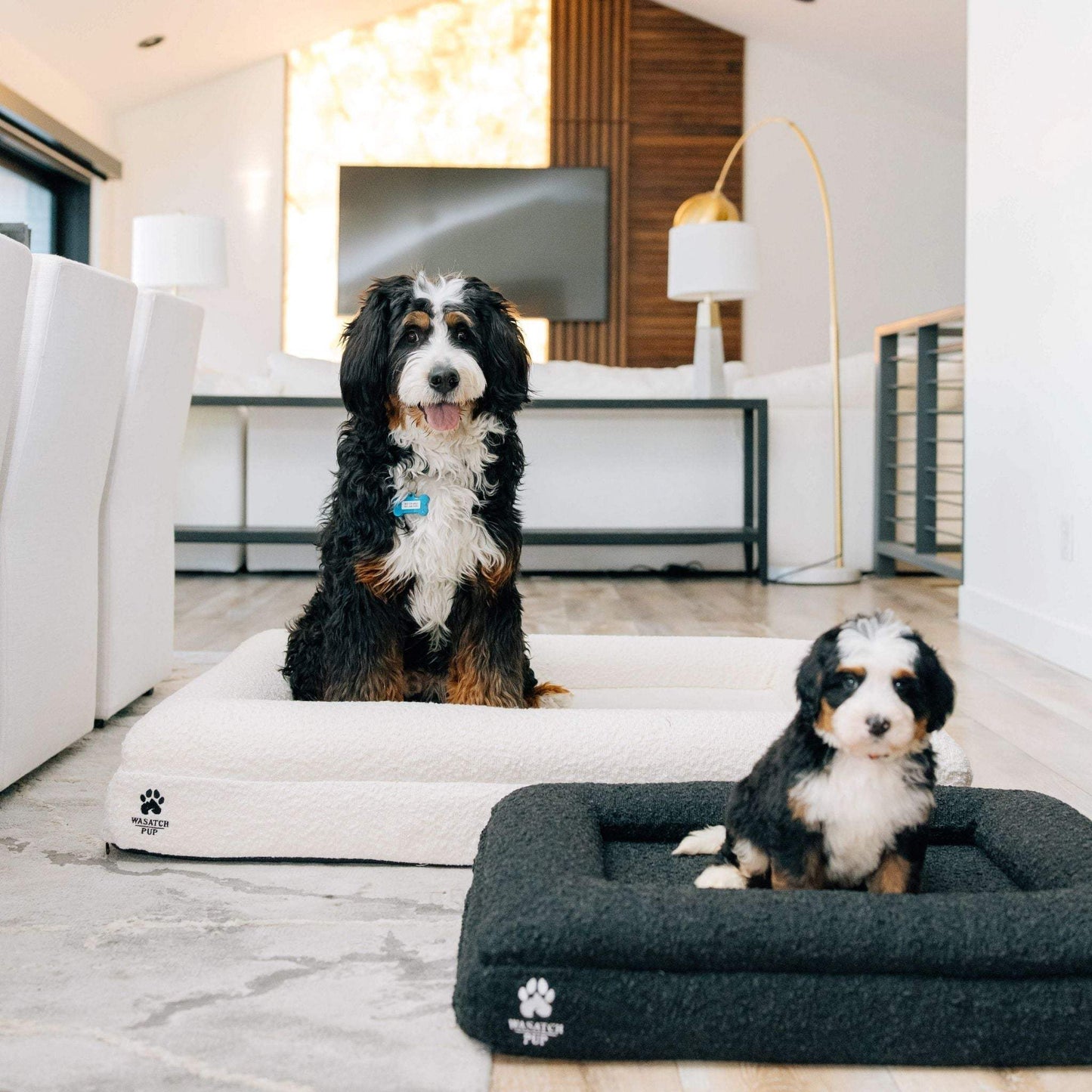 luxury orthopedic dog bed with memory foam and plush boucle cover featuring raised bolsters and removable washable cover for dogs of all sizes