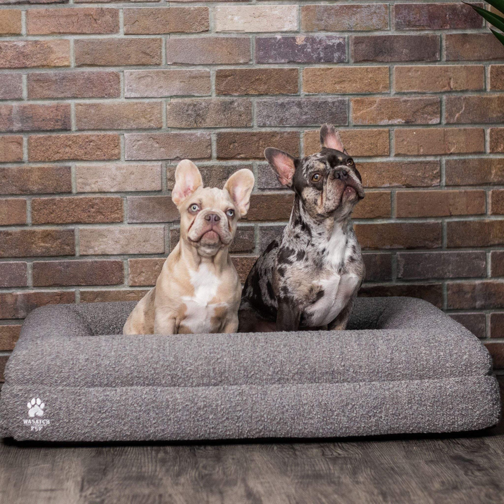 Luxury orthopedic dog bed with memory foam, plush boucle cover, and raised bolsters for joint support and comfort