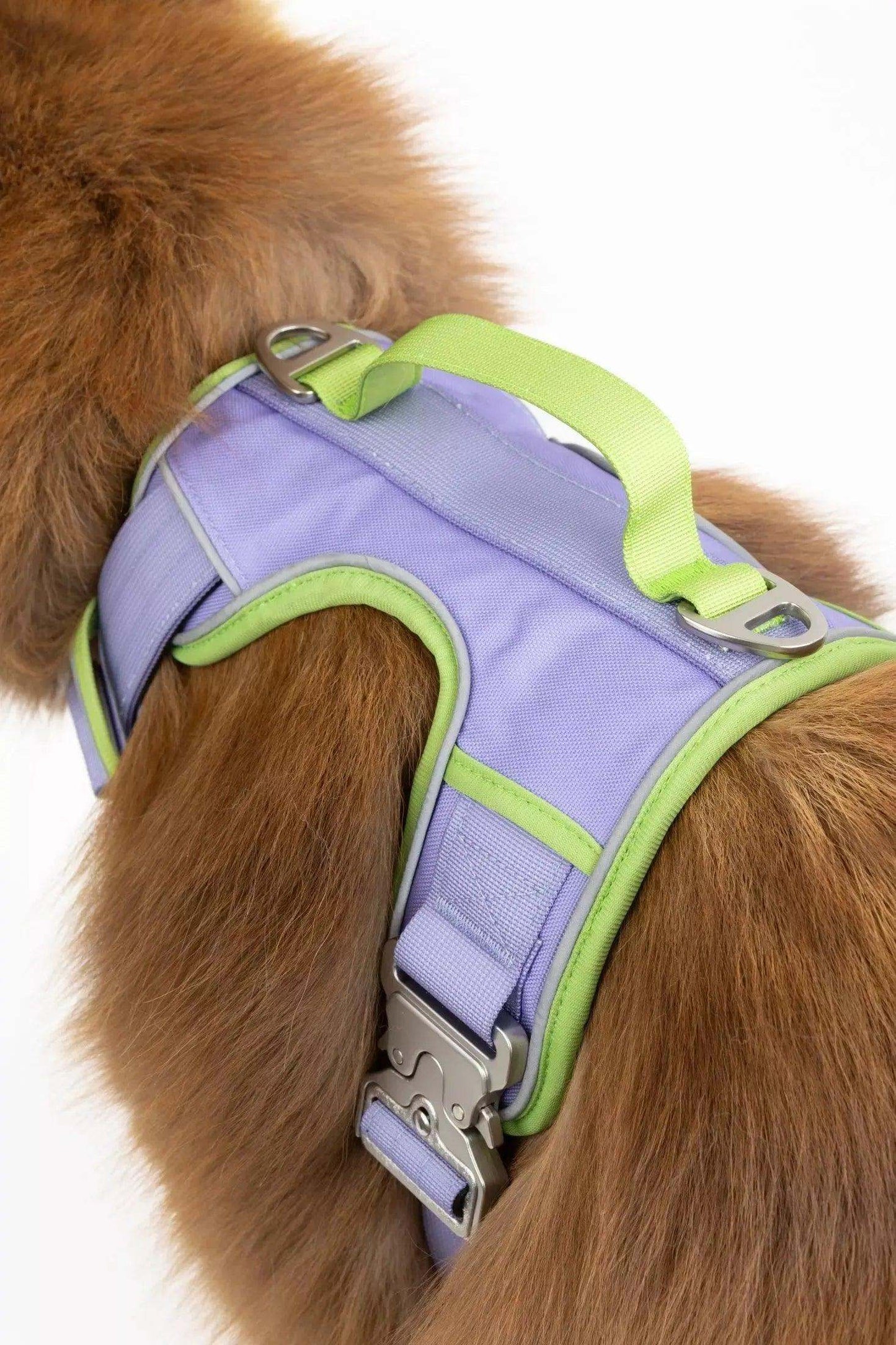 Lavender Garden Ultimate Dog Harness in purple and green with padded straps and metal clips on brown dog