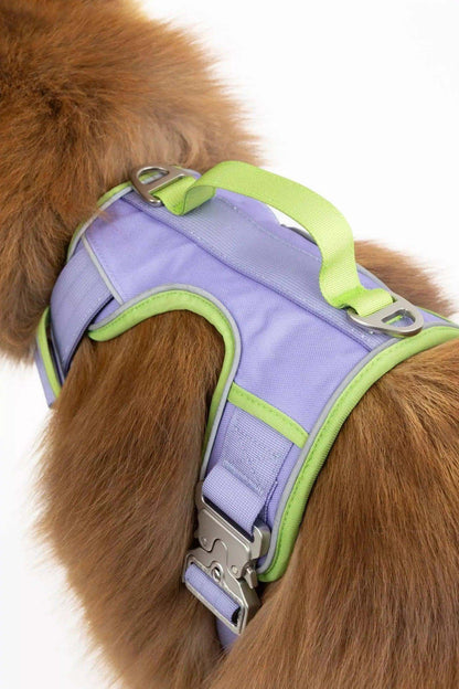 Lavender Garden Ultimate Dog Harness in purple and green with padded straps and metal clips on brown dog