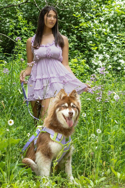 Lavender Garden Ultimate Dog Harness - Stylish & Secure Safety Harness