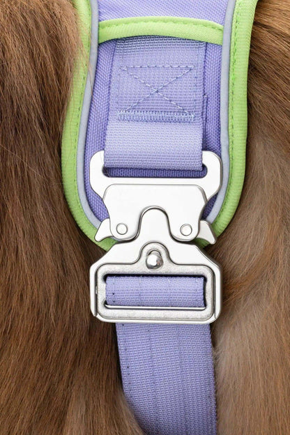 Close-up of lavender and green Lavender Garden Ultimate Dog Harness with metal buckle on dog