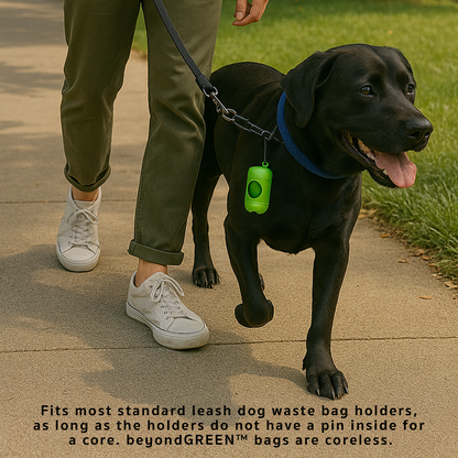Black dog on leash with green dog poop bag holder attached, walked by person wearing white sneakers and green pants on sidewalk