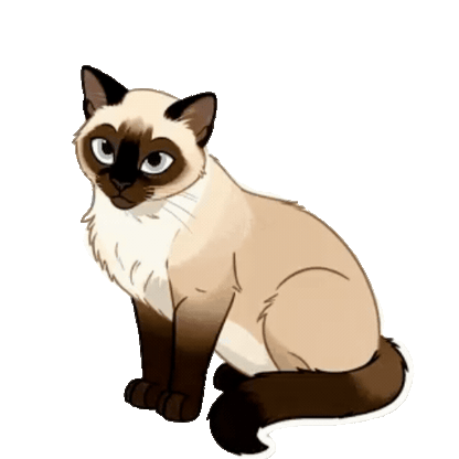 Animated Siamese Sticker Pack — 10 GIF Stickers | Instant Digital Download