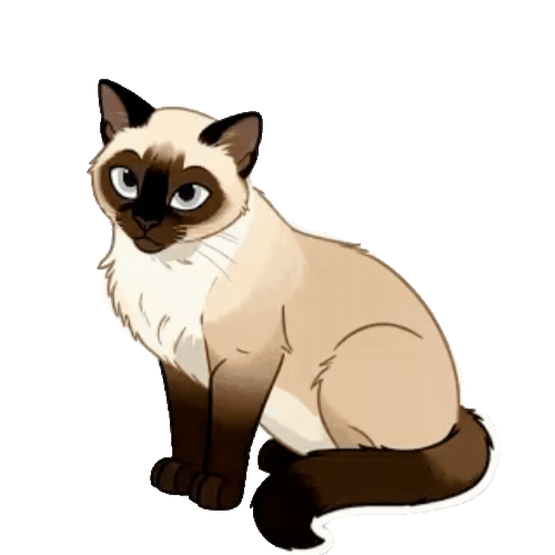Animated Siamese Sticker Pack — 10 GIF Stickers | Instant Digital Download