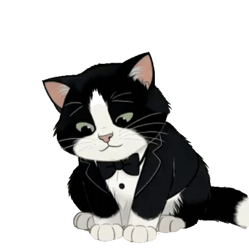 Animated Tuxedo Cat Sticker Pack — 10 GIF Stickers | Instant Digital Download