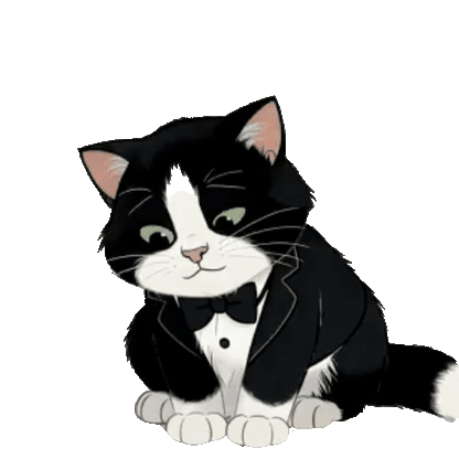 Animated Tuxedo Cat Sticker Pack — 10 GIF Stickers | Instant Digital Download