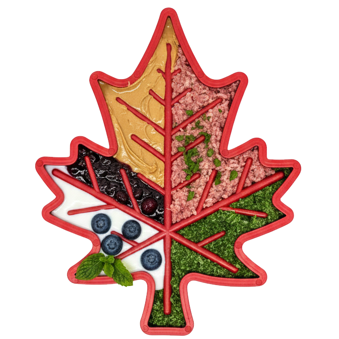 Canadian Maple Leaf shaped dog food bowl with sections for different foods