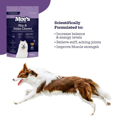 Hip and Joint Chews supplement for dog joint health with glucosamine, MSM, and chondroitin