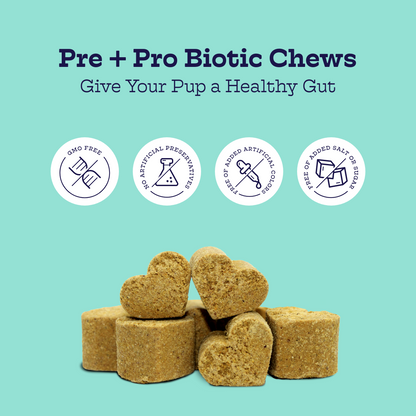 Pre + Pro Biotic Chews for dogs, heart-shaped digestive health treats with pumpkin and probiotics, GMO-free and no artificial additives.