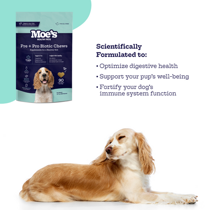 Moe's Pre + Pro Biotic Chews dog supplement with pumpkin and probiotics for digestive health and immune support