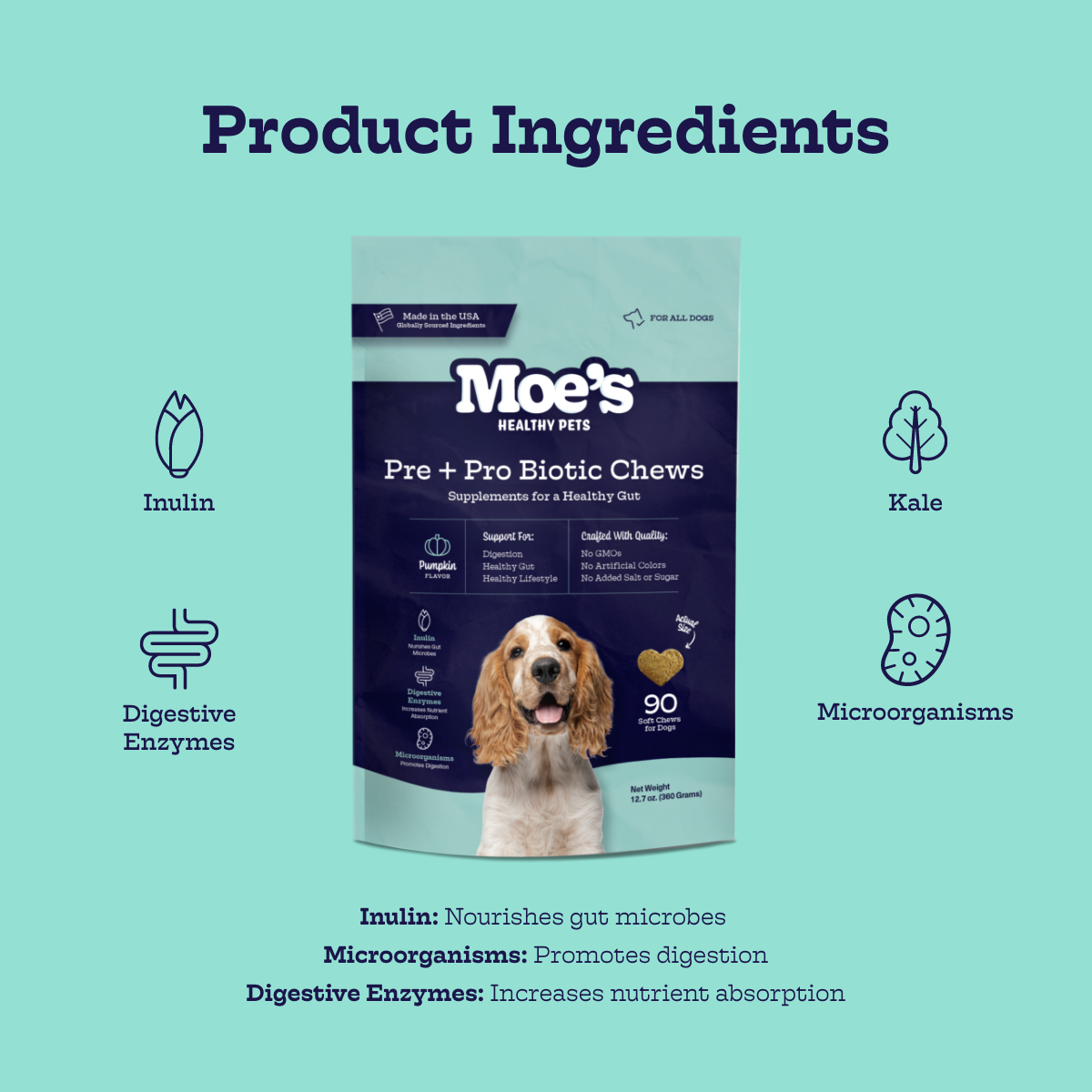 Moe's Pre + Pro Biotic Chews for dogs with pumpkin, inulin, digestive enzymes, and kale to support gut health and digestion