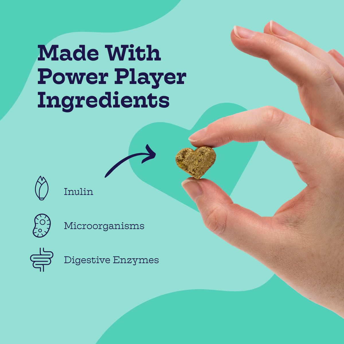 Hand holding heart-shaped Pre + Pro Biotic Chew for dog digestive health with inulin, microorganisms, and digestive enzymes icons on teal background