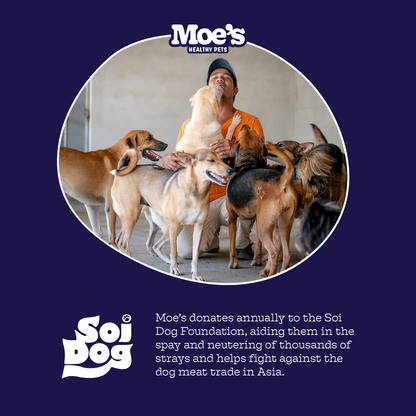 Moe's Pre + Pro Biotic Chews supporting dog digestive health with probiotics, pumpkin, prebiotics, and digestive enzymes.