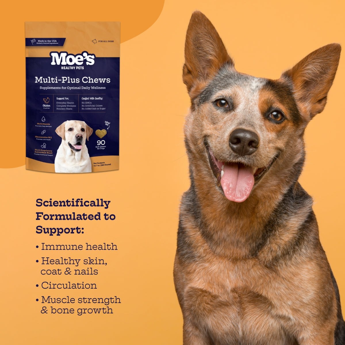 Multi-Plus Chews dog multivitamin supplement with vitamins, omega-3, glucosamine for immune, coat, joint, and bone health