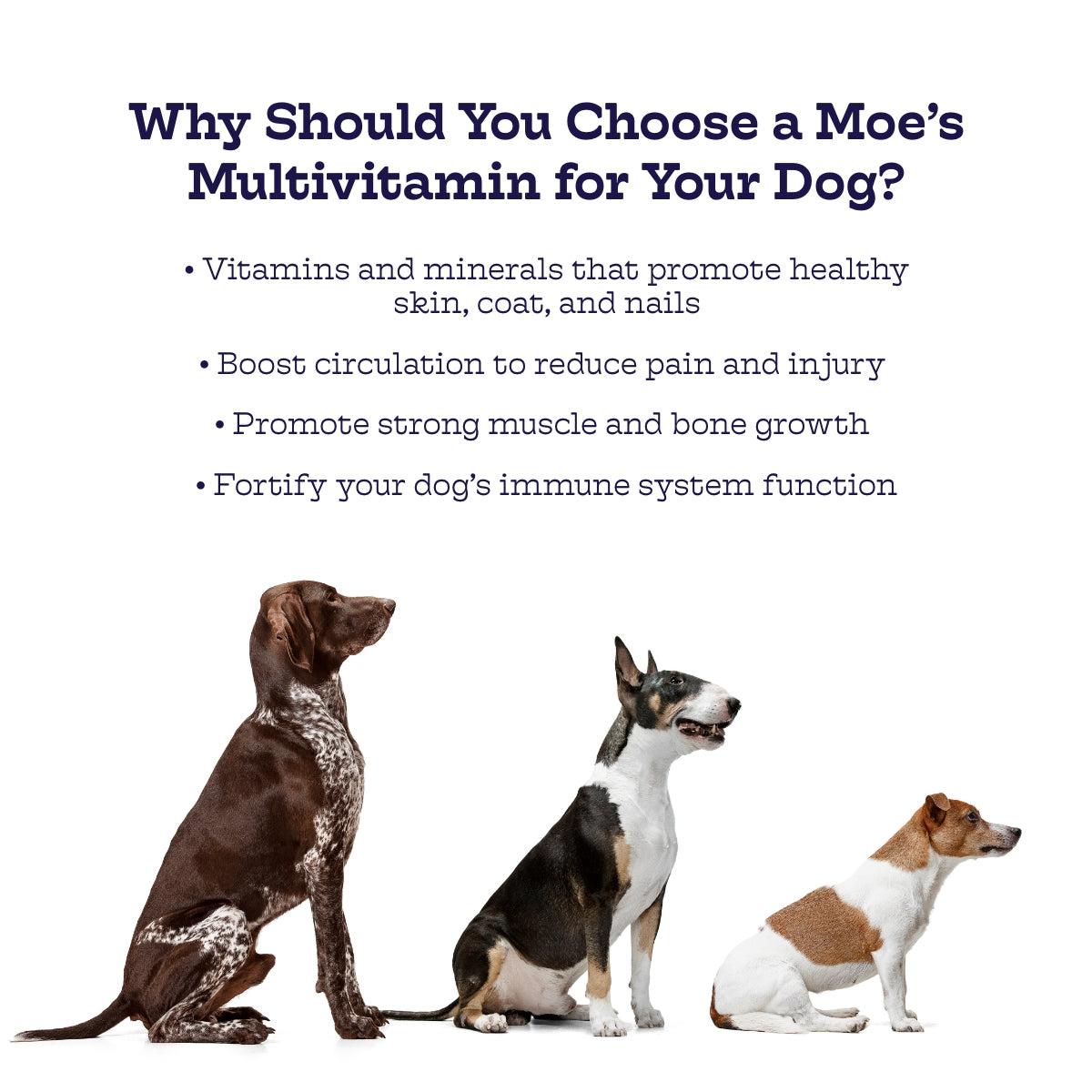 Multi-Plus Chews dog multivitamin supplement for healthy skin, coat, joints, and immune support.