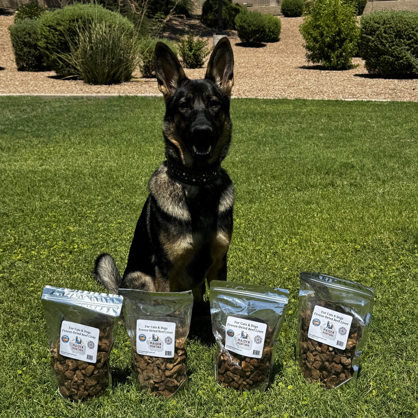 Freeze Dried Treats | Beef Liver | 12oz.
