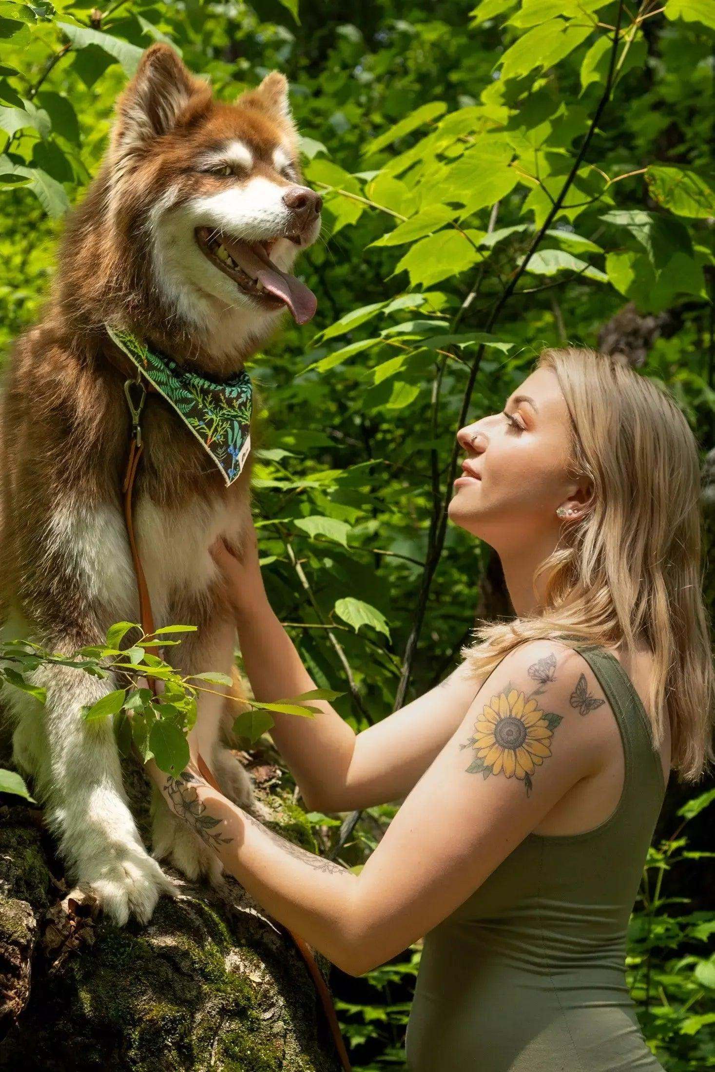 Dog wearing Magical Fern Forest bandana in lush green forest with woman smiling