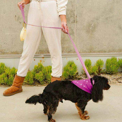 Malibu Sunset Sustainable Hemp Cotton Adjustable Dog Leash 
