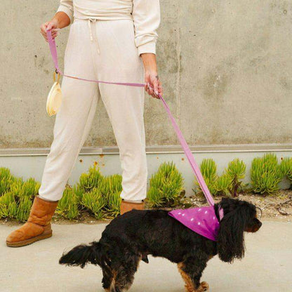 Malibu Sunset Sustainable Hemp Cotton Adjustable Dog Collar 