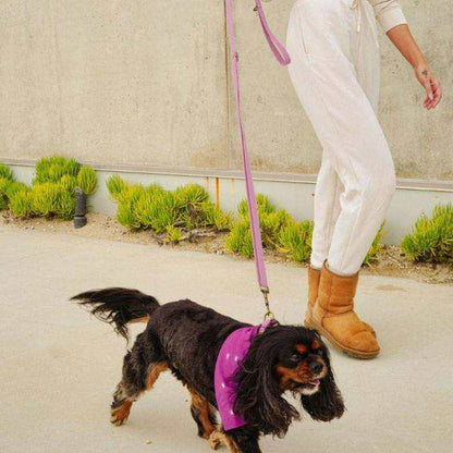 Malibu Sunset Sustainable Hemp Cotton Adjustable Dog Leash 
