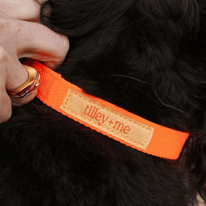 Malibu Sunset Sustainable Hemp Cotton Adjustable Dog Leash 