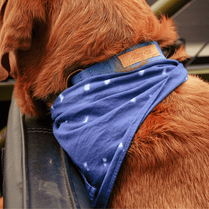 Malibu Sunset Sustainable Hemp Cotton Adjustable Dog Collar 